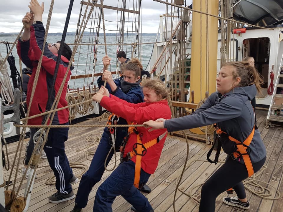 68904503_2615656538452630_1426313477420482560_n